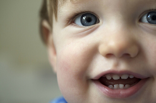 depth-of-field-1.jpg