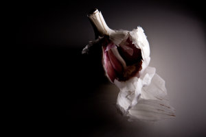 I didn't have a model, I got creative with Garlic...