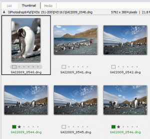 The browser window in Expressions Media 2 shows the thumbnails of the images in the folder and identifies the individual file at the top, in the status bar. In this case this file is clearly in a folder named DVD161. It's of course also on a DVD called DVD161 which is stored off-site but which could be retrieved and the whole catalogue rebuilt in the event of a disaster.