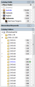 This panel from Expressions Media 2 shows the folders on the networked PC.  D Drive \ DVDs 151-200 \ DVD161.  The green dot means that is what is currently being displayed in a browser window ( see screenshot below).