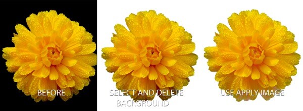 backgroundchange_before_after.jpg