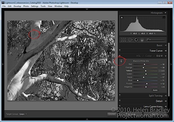 Lightroom_targetted_adjustment_tool_4.jpg
