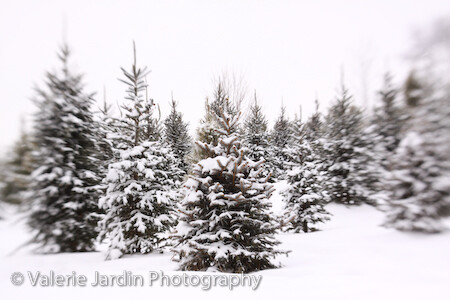 WinterArticle-9