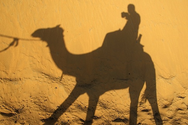 Self Portrait - Camel Ride - Near Aswan, Egypt - Copyright 2010 Ralph Velasco.jpg