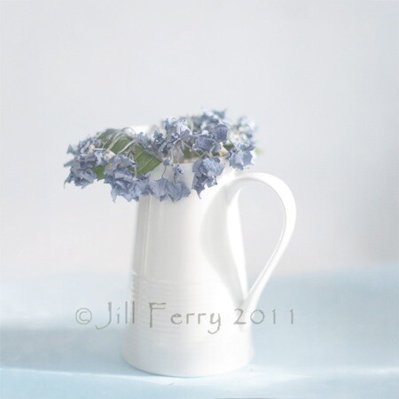 5 Flowers with texture 1 JF.jpg