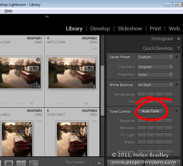 Lightroom_quick_develop_module_2.jpg