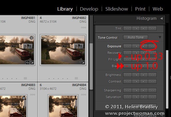 Lightroom_quick_develop_module_3.jpg