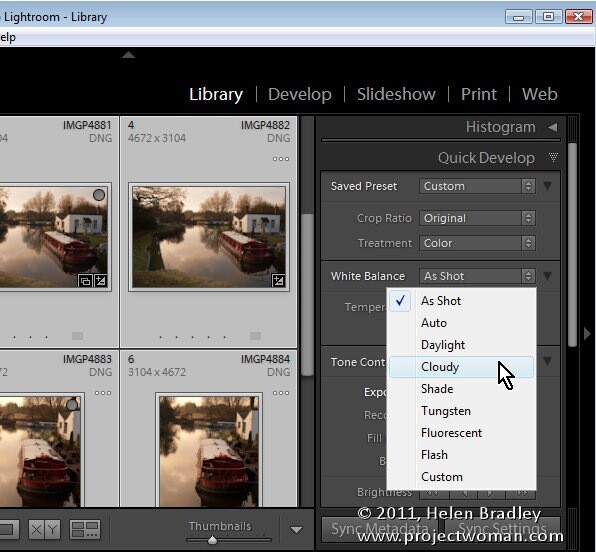Lightroom_quick_develop_module_4.jpg