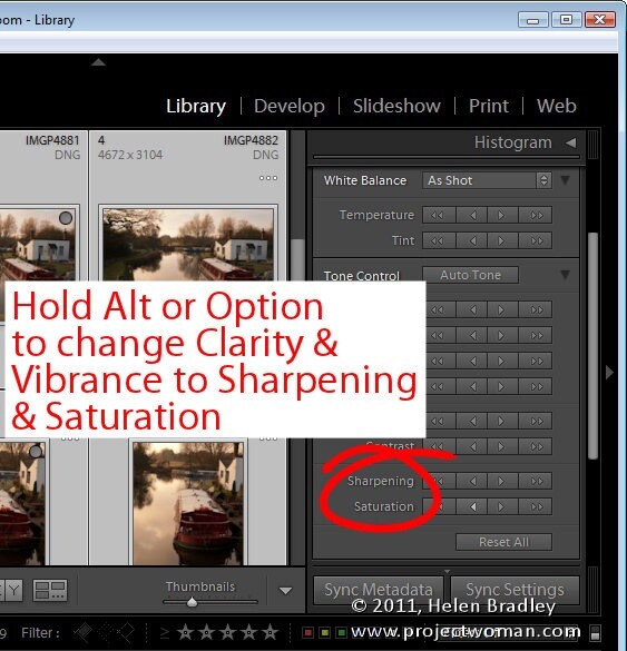 Lightroom_quick_develop_module_5.jpg
