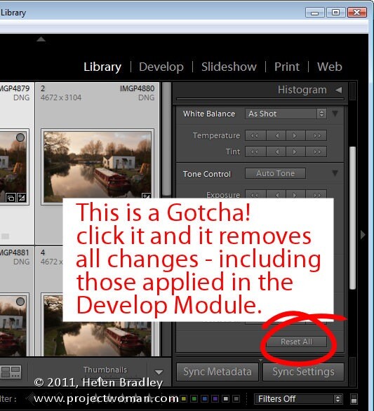 Lightroom_quick_develop_module_6.jpg