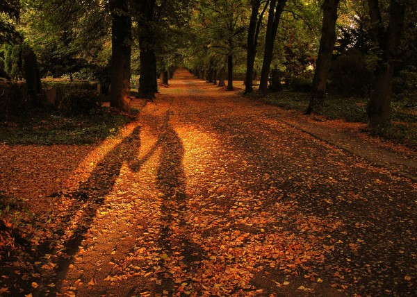 roads-14