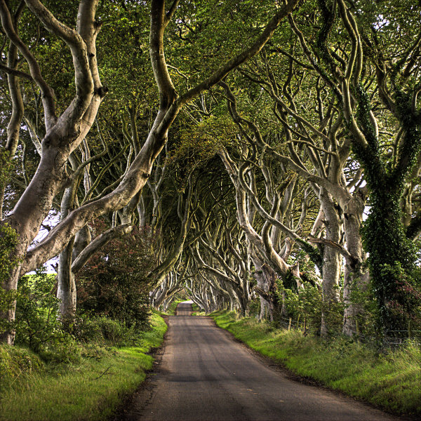 roads-9
