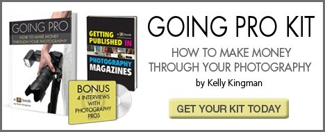 Turning Pro Part I: Portfolio and Persistence