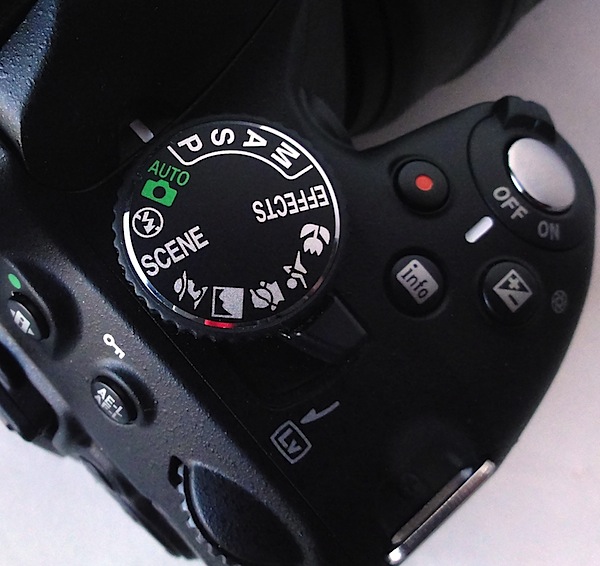 Nikon D5100 detail.jpg