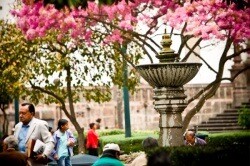 The Photo Critique: Travel Photo Edition