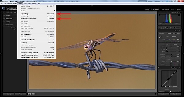 Lightroom Copy and Paste Settings.jpg