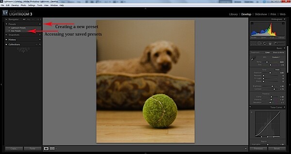 Presets in Lightroom 3.jpg