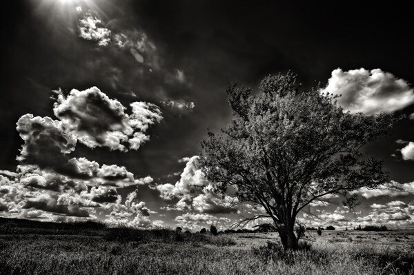 Eckert_BW_6_Lighting.jpg