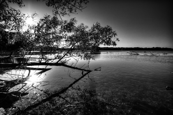 Eckert_BW_9_HDR.jpg