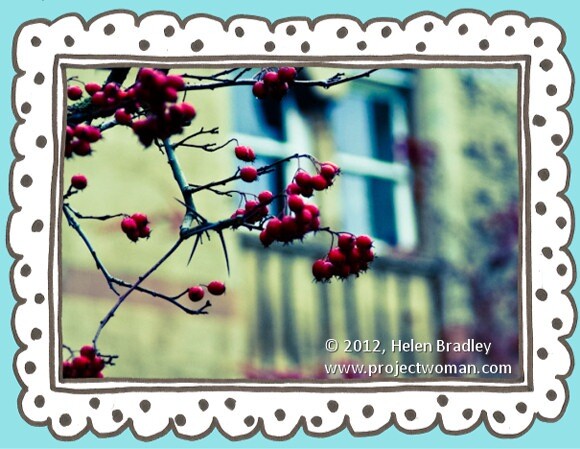 Lightroom_photo_frame_opener.jpg