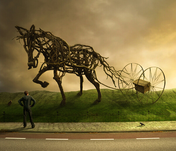 Horsing Around