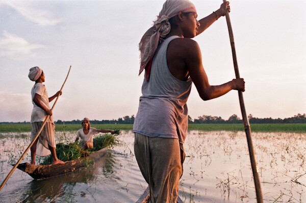 Returning in Their Boats With Grass-Nick-Fleming.jpg