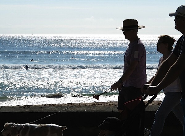 Backlit walkers 9.jpg