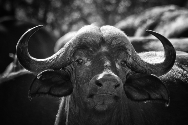 _DSC1503