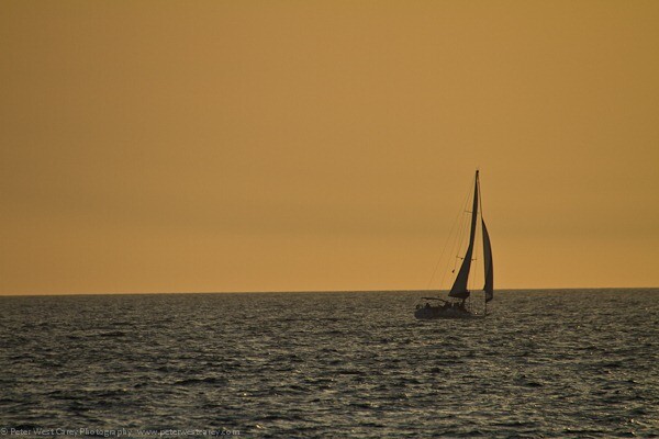PeterWestCarey-Sigma50-5002012-0228-2374